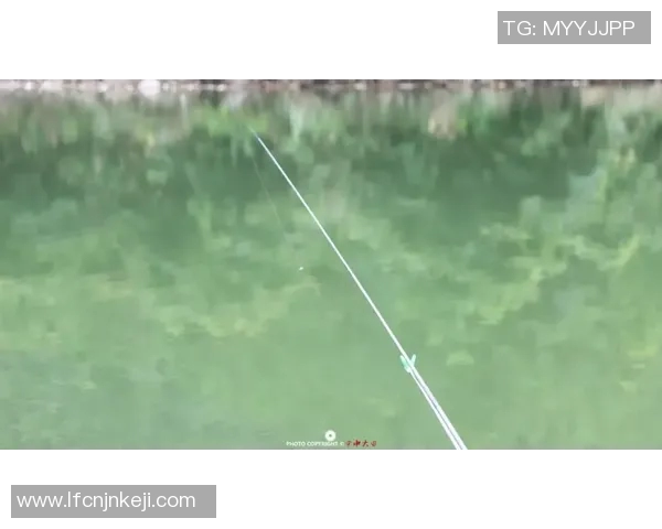 快乐垂钓频道在线直播观看尽享钓鱼乐趣与自然美景的完美结合